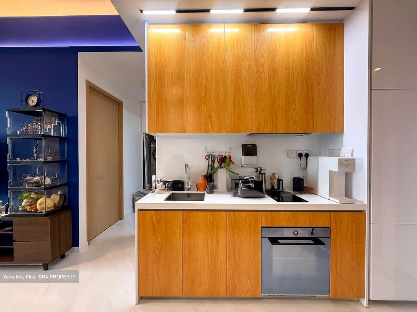 Peak Residence (D11), Condominium #570261601